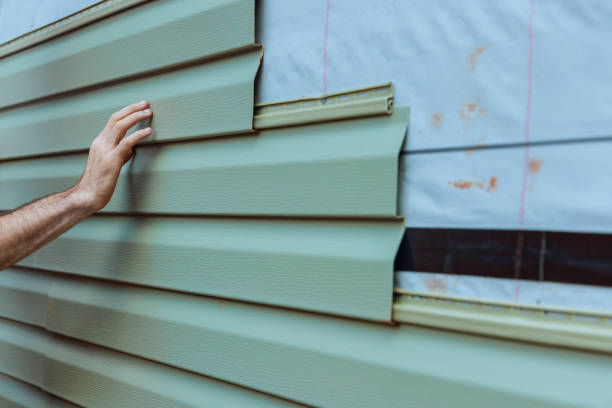 Best Vinyl Siding Installation  in Surgoinsville, TN